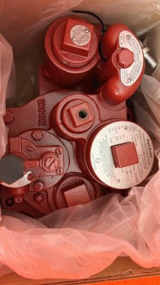 STP Red Robe